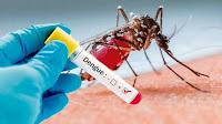 Encuentran compuesto que neutraliza el virus del dengue