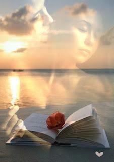 4.705 - HABLAN LOS LIBROS...