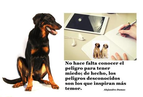 No es el apocalipsis comunicacional, es la revelación de los posibles remedios para evitarlo