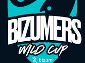 Bizum suma fiebre Wild Rift poniendo nombre parada Circuito Tormenta: BIZUMERS