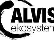 ALVIS EKOSYSTEM, empresa noruega recluta técnicos juristas brillantes panorama español