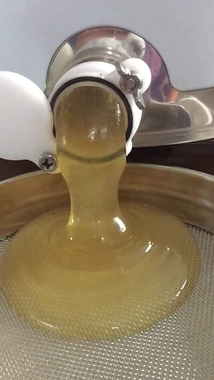 Miel verde: Cuidados para no cosecharla Miel verde: Cuidados para no cosecharla