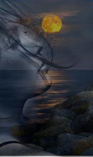 4.708 - LA ESTRELLA BRILLA... 4.708 - LA ESTRELLA BRILLA...