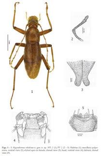 Espectacular hallazgo en cuevas de Croacia