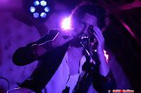 Qara en el Perro de la parte de atrás del coche