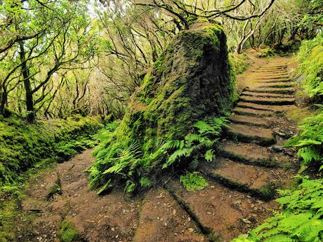Entre Miradores y Laurisilva: Escapada a la Montaña Mágica de Anaga, Tenerife Entre Miradores y Laurisilva: Escapada a la Montaña Mágica de Anaga, Tenerife
