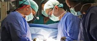 ¿USTED SE DEJARIA OPERAR POR UN PLOMERO? ¿USTED SE DEJARIA OPERAR POR UN PLOMERO?