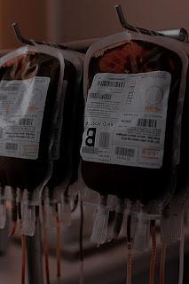 Reseña|| Destino- María Martínez