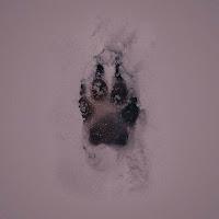 Reseña|| Destino- María Martínez