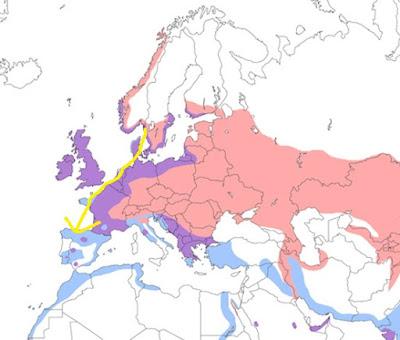 Entrada de garzas reales