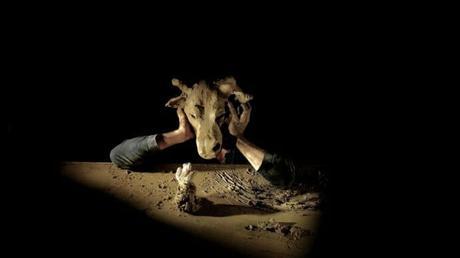 Del flamenco al teatro de sombras para niños en otoño Del flamenco al teatro de sombras para niños en otoño