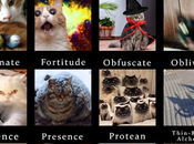 Disiciplinas Vampire gatos