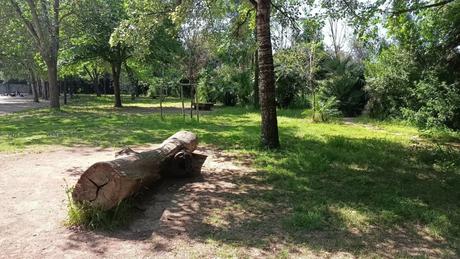 Paseando por el Parque de la Rambleta