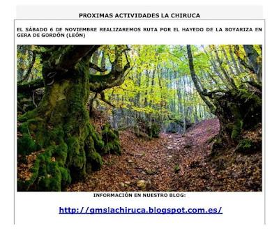 SÁBADO 6 DE NOVIEMBRE , RUTA DE LA BOYARIZA