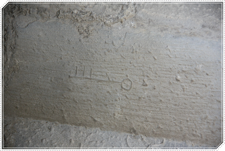 Edén en Carcastillo