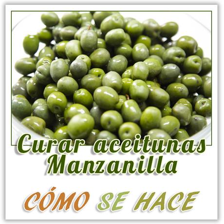 EL MEJOR MÉTOCO DE CURAR ACEITUNAS MANZANILLA Cómo curar aceitunas manzanilla