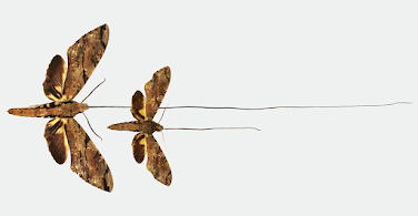 La mariposa que tenía que existir La mariposa que tenía que existir