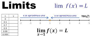 Exercise 1.3. Numerical and Algebraic Limits