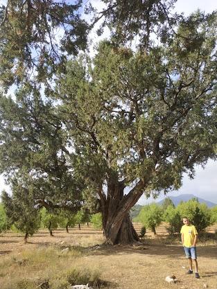 HACIA UNA EUROPA MÁS JUSTA Y CLIMÁTICAMENTE NEUTRAL PARA TODOS HACIA UNA EUROPA MÁS JUSTA Y CLIMÁTICAMENTE NEUTRAL PARA TODOS