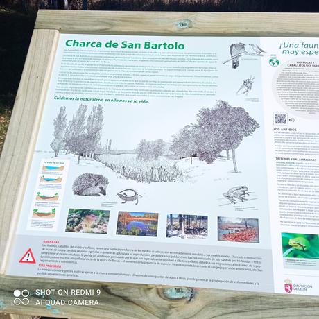 Nuevo equipamiento de educación ambiental sobre la Charca de San Bartolo 1