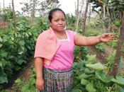 Mujeres rurales: clave para mundo hambre pobreza
