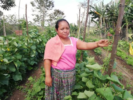 Mujer rural 