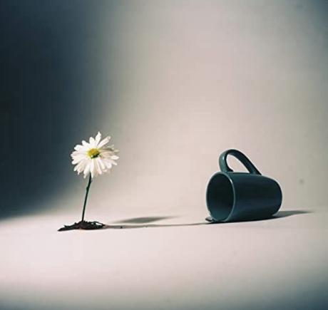 Comenzando mi lista de musica relajante: Anthesis de Nicolas Roche. 3