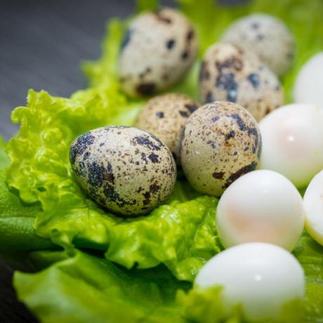 Cómo cocer HUEVOS DE CODORNIZ - ¡Sin que se rompan!