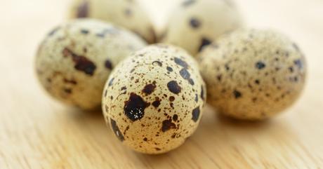 Huevos de codorniz: 7 beneficios para la salud y cómo cocerlos (con  recetas) - Tua Saúde