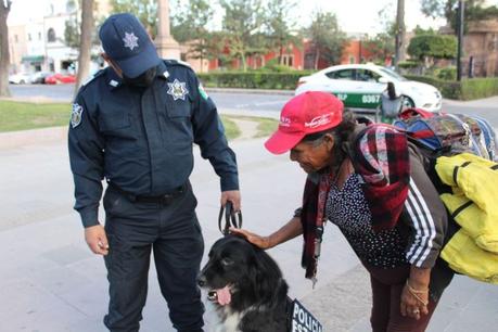 (Galería) Perros policía patrullan el Centro Histórico de SLP