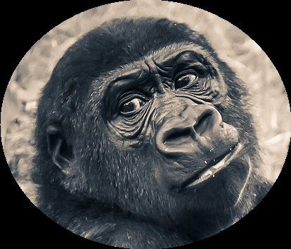 Al carajo, que yo escucho a El Arrebato y a C. Tangana