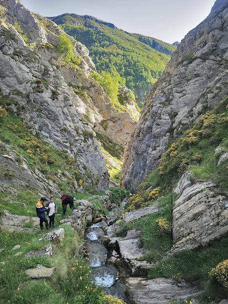 PEÑA NEGRA Y MICHU POR BRAÑAS DE SALIENCIA PEÑA NEGRA Y MICHU POR BRAÑAS DE SALIENCIA