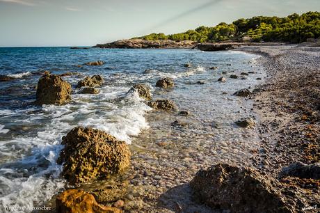 ALCOSSEBER. PLAYA DEL MORO Y CALA ARGILAGA EN SIERRA DE IRTA