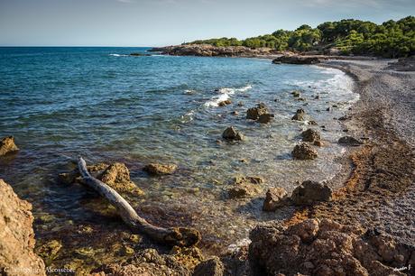 ALCOSSEBER. PLAYA DEL MORO Y CALA ARGILAGA EN SIERRA DE IRTA