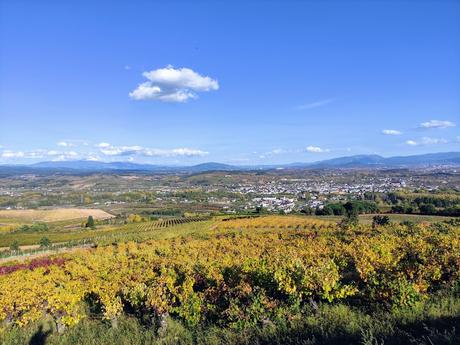 El Bierzo se adentra en el otoño mostrando su mejor color desde el Castro Ventosa 8