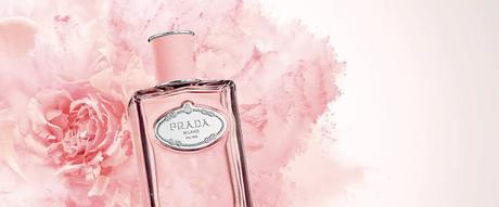 Embriagándome con el Aroma a Rosa Salvaje de Prada Infusion de Rose portada-prada-infusion-de-rose