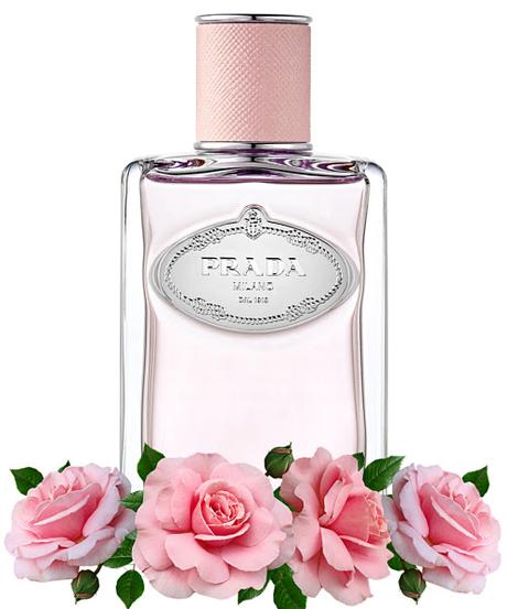 Embriagándome con el Aroma a Rosa Salvaje de Prada Infusion de Rose prada-les-infusion-rose