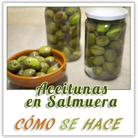 ACEITUNAS CURADAS AL ESTILO TRADICIONAL Y CONSERVADAS EN SALMUERA. ACEITUNAS CURADAS AL ESTILO TRADICIONAL Y CONSERVADAS EN SALMUERA.