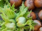 Eliminar kernels Jupyter