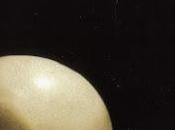 Anekdoten From Within (1999)