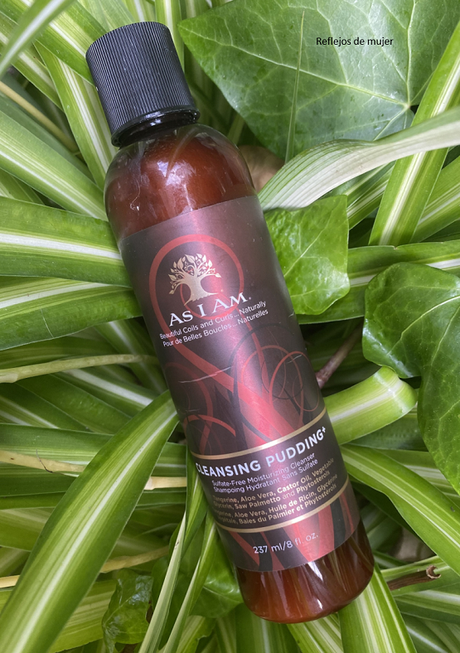 cleasing_pudding cleasing_pudding