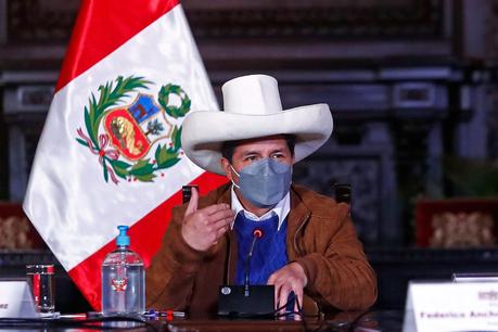 Presidente Castillo pide autorización al Congreso para viajar a Bolivia