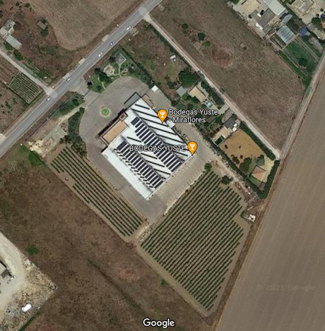 SESIÓN INICIACIÓN VINOS JEREZ MANZANILLA: Seminario introducción vinos 