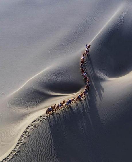 Puede ser una imagen de naturaleza