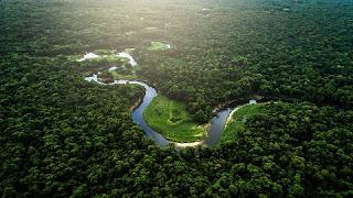Evolución del Río Amazonas