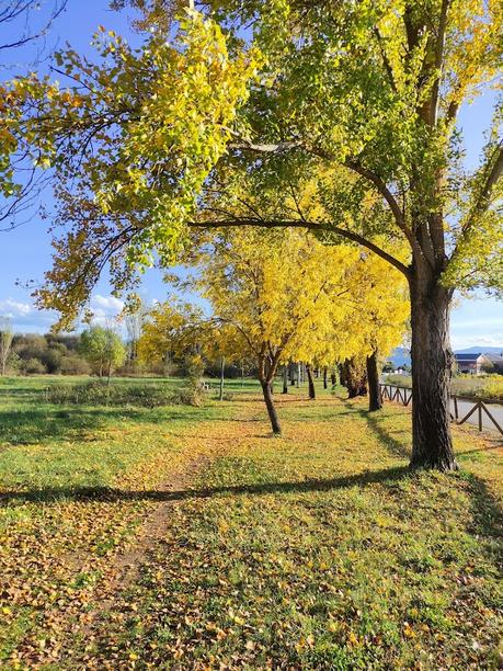Mini ruta con niños por el Bierzo. Visita a la Laguna de San Bartolo y su entorno en Cacabelos 3