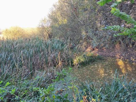 Mini ruta con niños por el Bierzo. Visita a la Laguna de San Bartolo y su entorno en Cacabelos 2