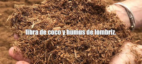 La mejor mezcla para cultivar en macetas: fibra de coco y humus de lombriz.