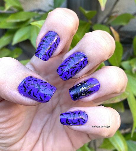 casa_encantada casa_encantada