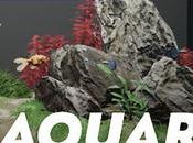 ANÁLISIS: Aquarium Designer
